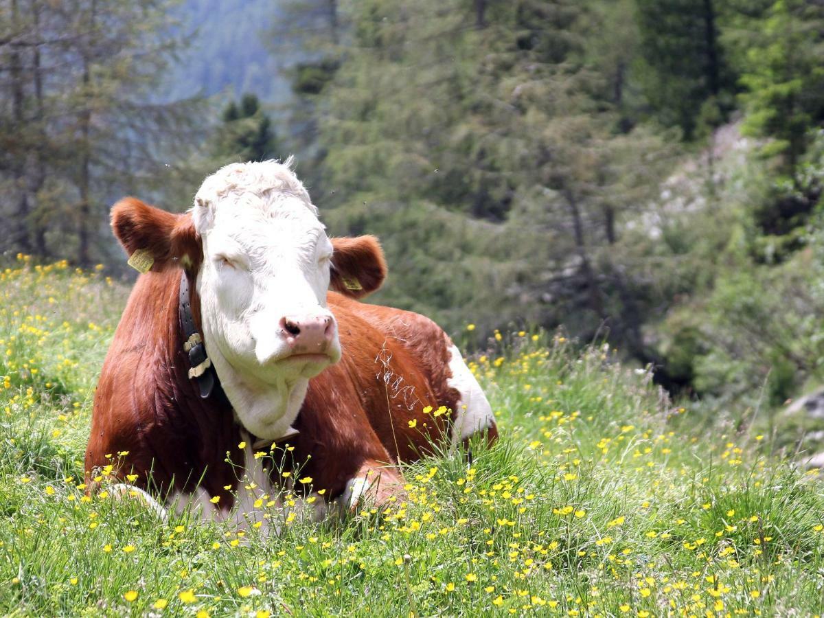 Huberhof Villa Ahrntal ภายนอก รูปภาพ